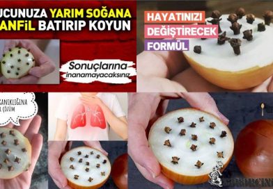 Mixək və soğanın birgə möcüzəsi