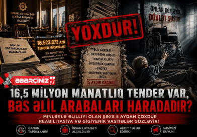 ƏLİLLİYİ OLAN ŞƏXSLƏRƏ SOSİAL BLOKADA: MİLYONLUQ TENDERLƏR… ƏLİLLİYİ OLAN ŞƏXSLƏRƏ SOSİAL BLOKADA: MİLYONLUQ TENDERLƏR…